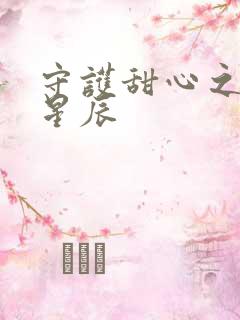 守护甜心之暗夜星辰