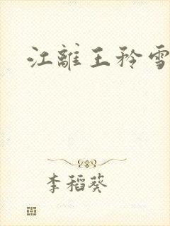 江离王矜雪小说