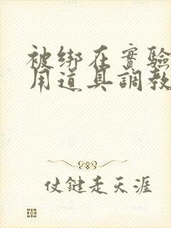 被绑在实验台上用道具调教