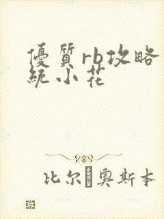 优质rb攻略系统小花