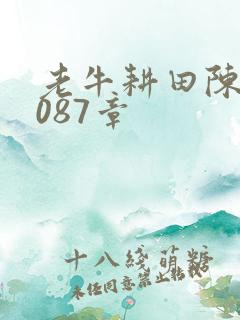 老牛耕田陈雪1087章