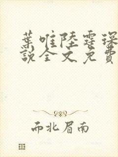 叶唯陆霆琛的小说全文免费阅读