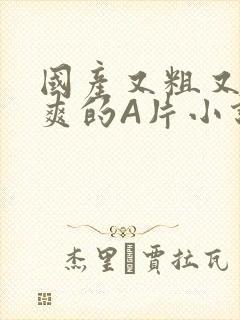 国产又粗又黄又爽的A片小说