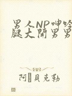 男人NP呻吟双腿大开男男小说
