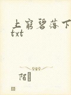 上穷碧落下黄泉txt