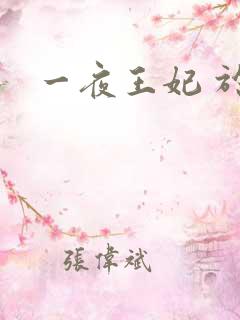 一夜王妃 于墨