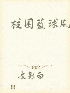校园蓝球风云