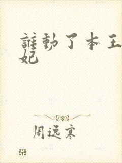谁动了本王的悍妃