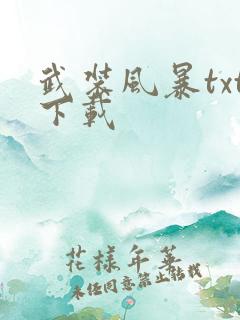 武装风暴txt下载