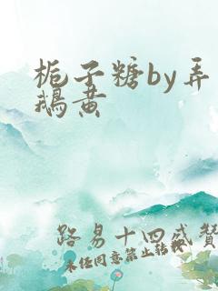 栀子糖by弄白鹅黄