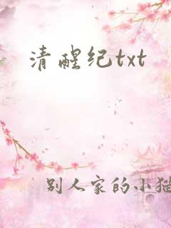 清醒纪txt