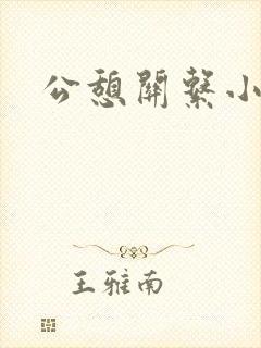 公憩关系小说
