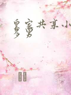 皇家共享小公主多男