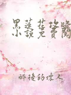 黑莲花攻略手册小说免费阅读