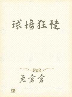 球场狂徒