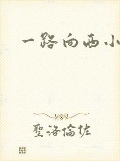 一路向西小说