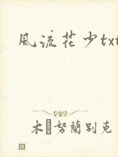 风流花少txt