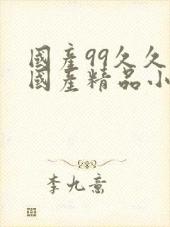 国产99久久久国产精品小说