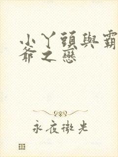 小丫头与霸道少爷之恋