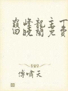 巅峰龙主丁长顺田晓兰免费阅读