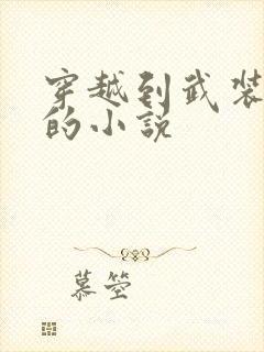 穿越到武装少女的小说