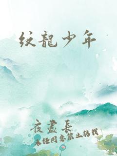 纹龙少年