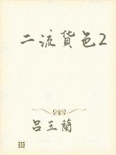 二流货色2