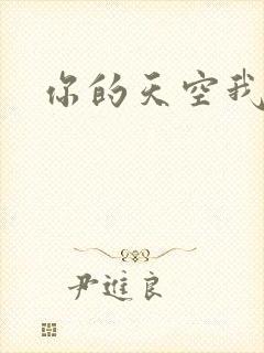 你的天空我的城