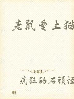 老鼠爱上猫下载