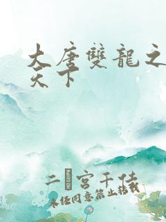 大唐双龙之无敌天下