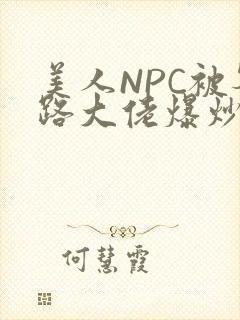 美人NPC被各路大佬爆炒小说