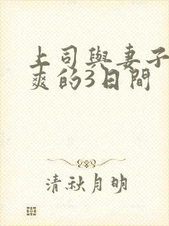 上司与妻子干到爽的3日间