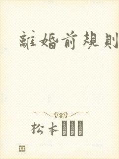 离婚前规则小说
