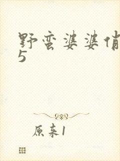 野蛮婆婆俏媳妇5