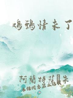 鸡鸦情未了