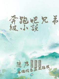 奔跑吧兄弟限制级小说