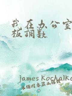 我在办公室被老板调数