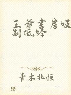 王爷书房吸乳抑制低吟