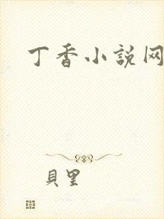 丁香小说网