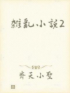 杂乱小说2