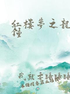 红楼梦之龙套秦钟