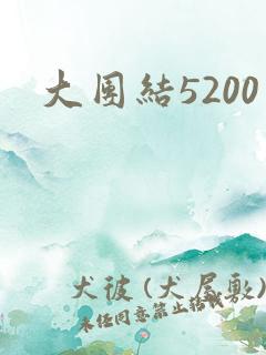 大团结5200
