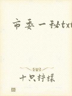 市委一秘txt