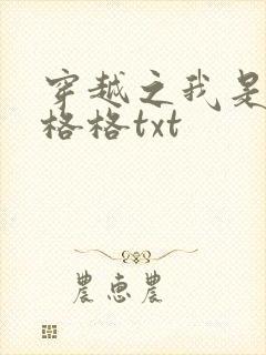 穿越之我是还珠格格txt