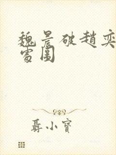 魏晨破赵奕欢的处图