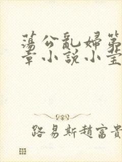 荡公乱妇第51章小说小莹