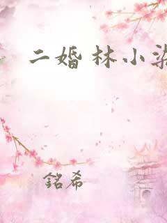 二婚 林小染