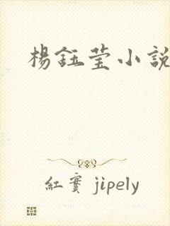 杨钰莹小说阅读