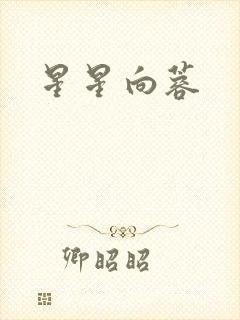 星星向蓉