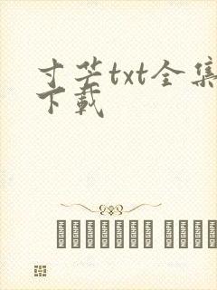 寸芒txt全集下载